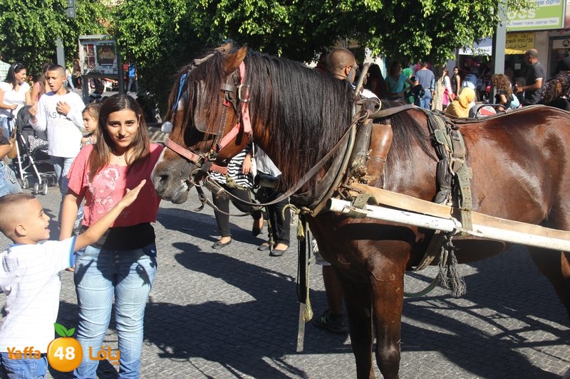 re7la ludj31 (24).JPG